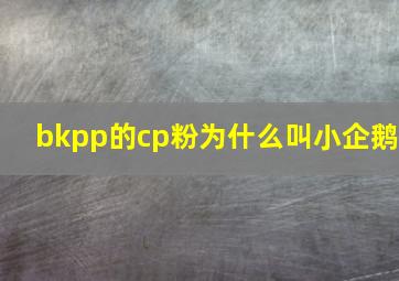 bkpp的cp粉为什么叫小企鹅