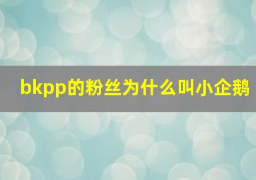 bkpp的粉丝为什么叫小企鹅