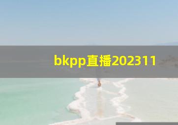 bkpp直播202311