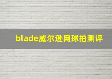 blade威尔逊网球拍测评