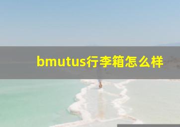 bmutus行李箱怎么样