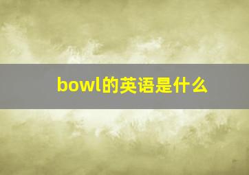 bowl的英语是什么