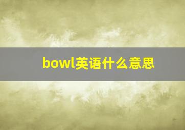 bowl英语什么意思