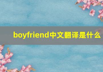 boyfriend中文翻译是什么