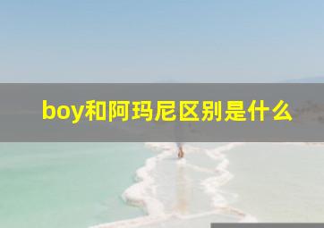 boy和阿玛尼区别是什么