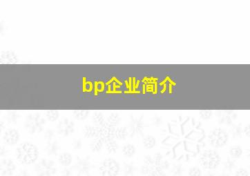 bp企业简介