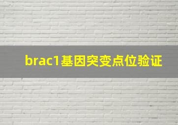 brac1基因突变点位验证