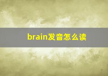 brain发音怎么读