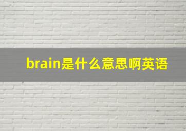 brain是什么意思啊英语