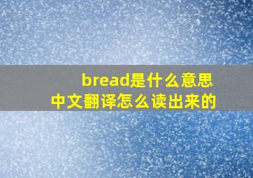 bread是什么意思中文翻译怎么读出来的