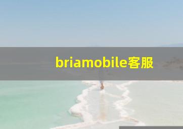 briamobile客服