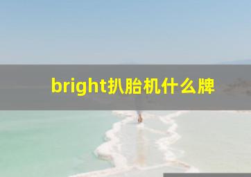 bright扒胎机什么牌