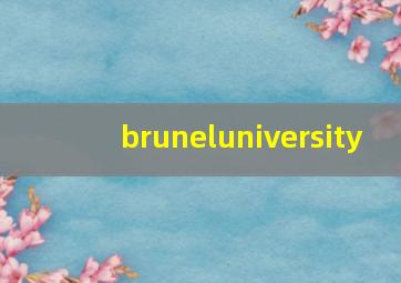 bruneluniversity