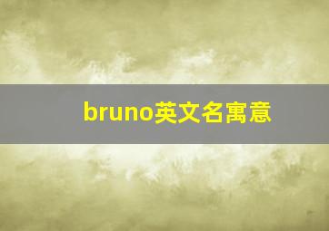 bruno英文名寓意