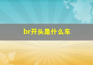 br开头是什么车