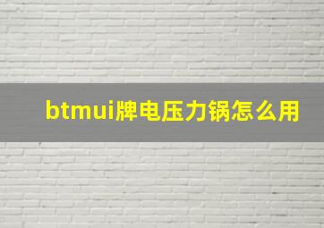 btmui牌电压力锅怎么用