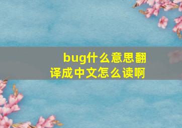 bug什么意思翻译成中文怎么读啊