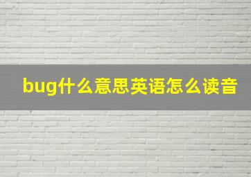 bug什么意思英语怎么读音