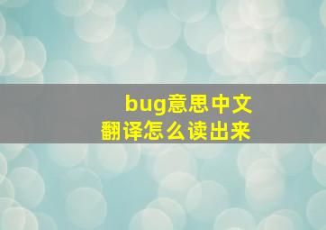 bug意思中文翻译怎么读出来