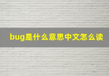 bug是什么意思中文怎么读