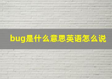 bug是什么意思英语怎么说