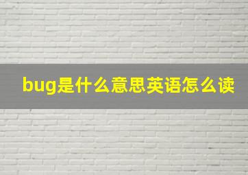 bug是什么意思英语怎么读