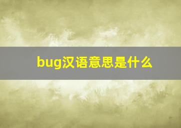 bug汉语意思是什么