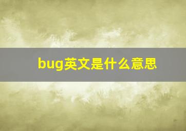 bug英文是什么意思