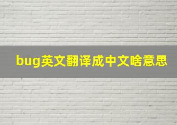 bug英文翻译成中文啥意思