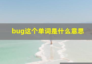 bug这个单词是什么意思