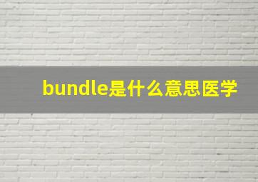 bundle是什么意思医学