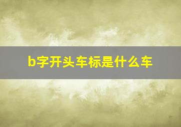 b字开头车标是什么车