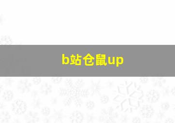 b站仓鼠up