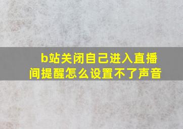 b站关闭自己进入直播间提醒怎么设置不了声音