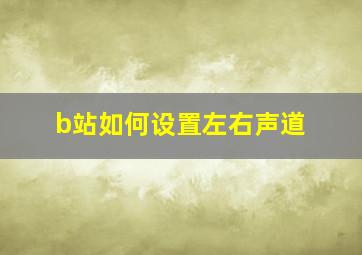 b站如何设置左右声道