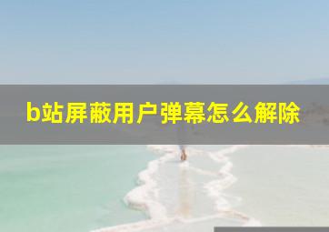 b站屏蔽用户弹幕怎么解除