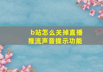 b站怎么关掉直播推流声音提示功能