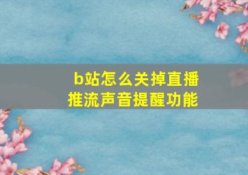 b站怎么关掉直播推流声音提醒功能