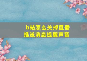 b站怎么关掉直播推送消息提醒声音