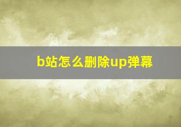 b站怎么删除up弹幕