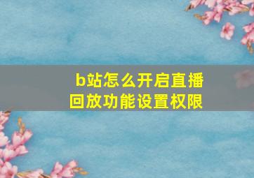 b站怎么开启直播回放功能设置权限