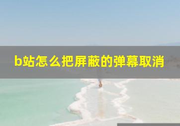 b站怎么把屏蔽的弹幕取消