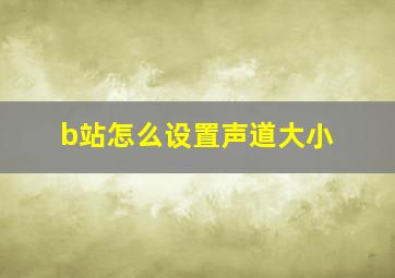 b站怎么设置声道大小