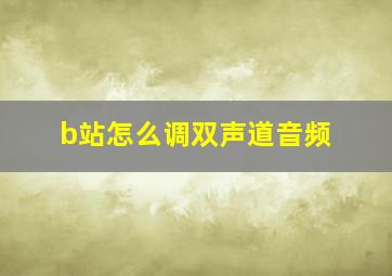 b站怎么调双声道音频