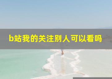 b站我的关注别人可以看吗