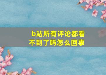 b站所有评论都看不到了吗怎么回事