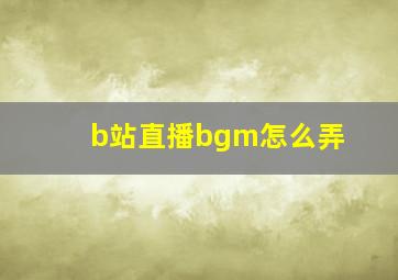 b站直播bgm怎么弄