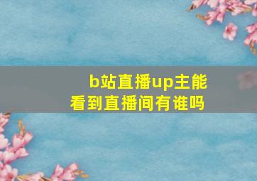 b站直播up主能看到直播间有谁吗