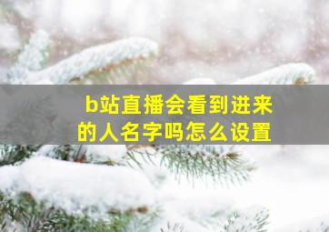 b站直播会看到进来的人名字吗怎么设置