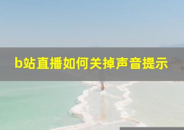 b站直播如何关掉声音提示